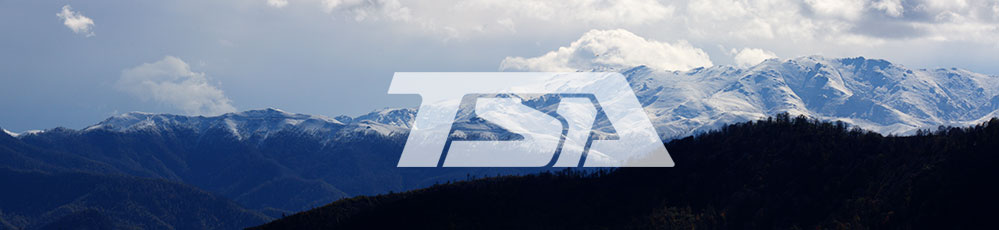 mountains in the background